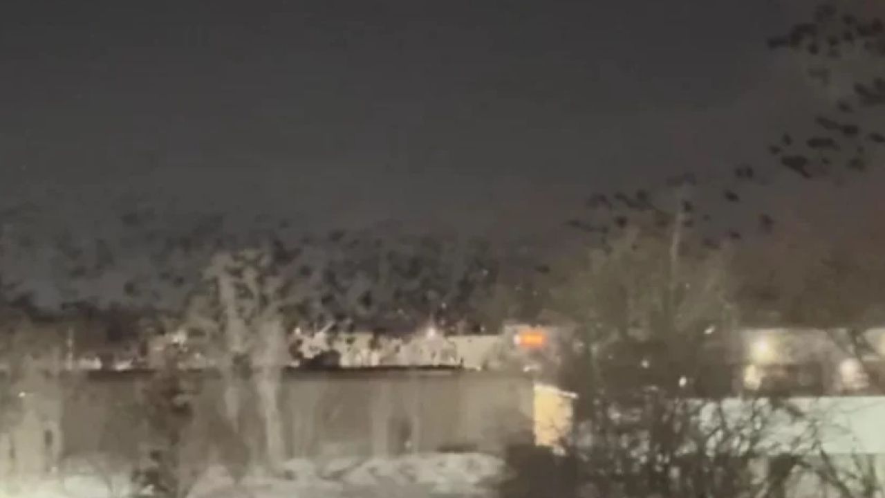 তেল আবিবের আকাশে হাজারো কাকের ওড়াউড়ি: প্রলয়ের ইঙ্গিত নাকি স্বাভাবিক ঘটনা?