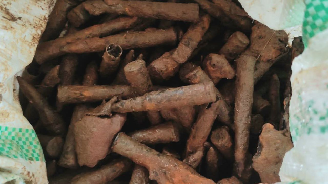 নওগাঁয় ফসলের মাঠ থেকে পরিত্যক্ত ৩২৫ রাউন্ড গুলি উদ্ধার