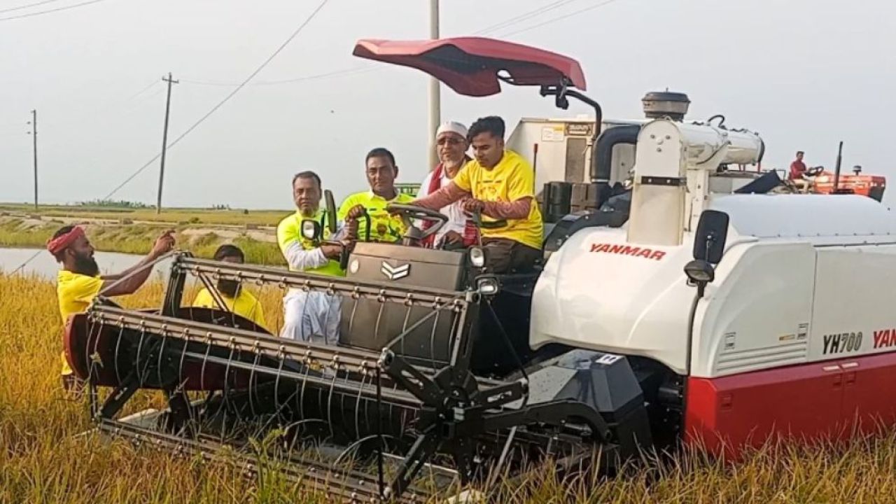 নেত্রকোনার খালিয়াজুরীতে ধান কাটার উৎসব: দ্রুত সমাপ্তির আশা বাবরের