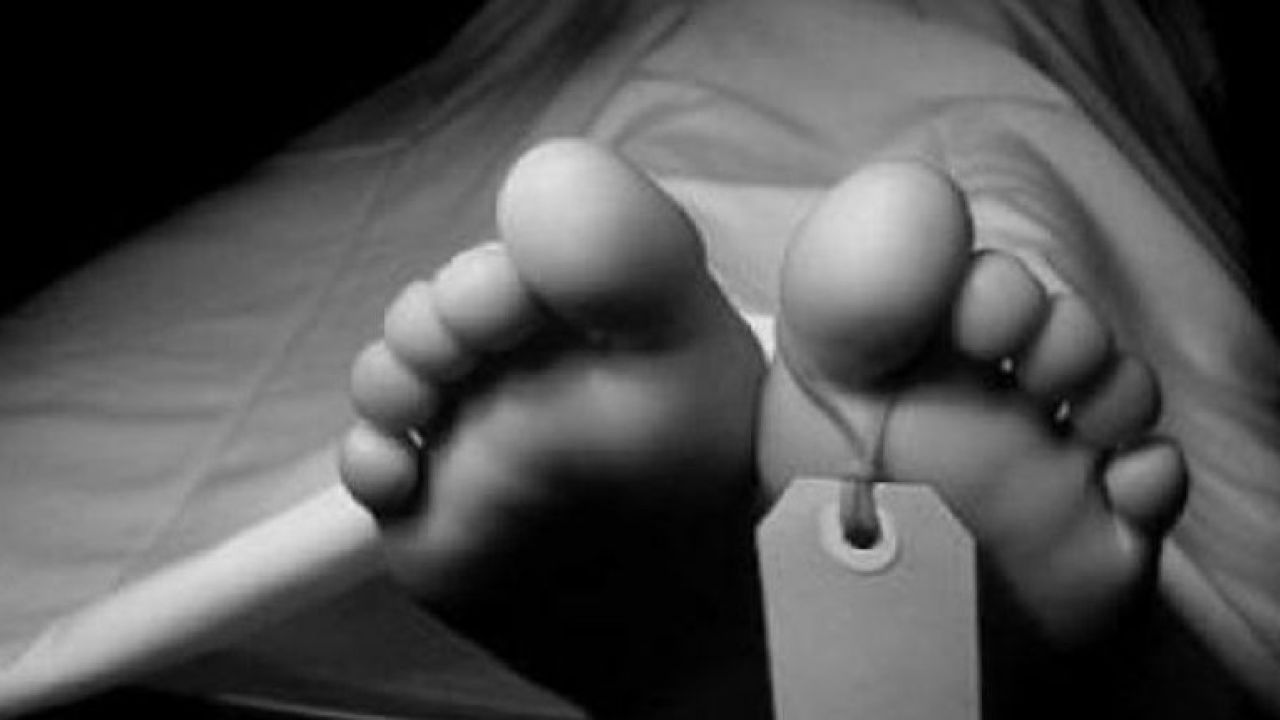 সিংগাইরে প্রবাস ফেরত রেমিট্যান্স যোদ্ধার লাশ উদ্ধার