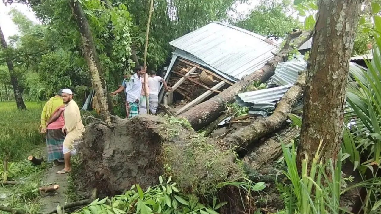 কালবৈশাখী ঝড়ে গাছচাপায় জামালপুরে মা ও দুই মেয়ের মৃত্যু