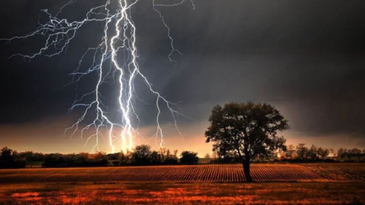 গজারিয়ায় বজ্রপাতে গরুর পাল আনতে গিয়ে কৃষকের প্রাণহানি