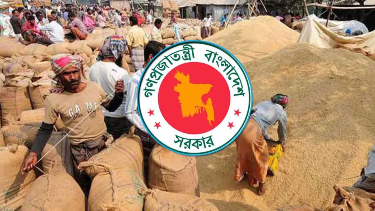 ৩ মে থেকে হাওরাঞ্চলে ধান-চাল সংগ্রহ শুরু করছে সরকার