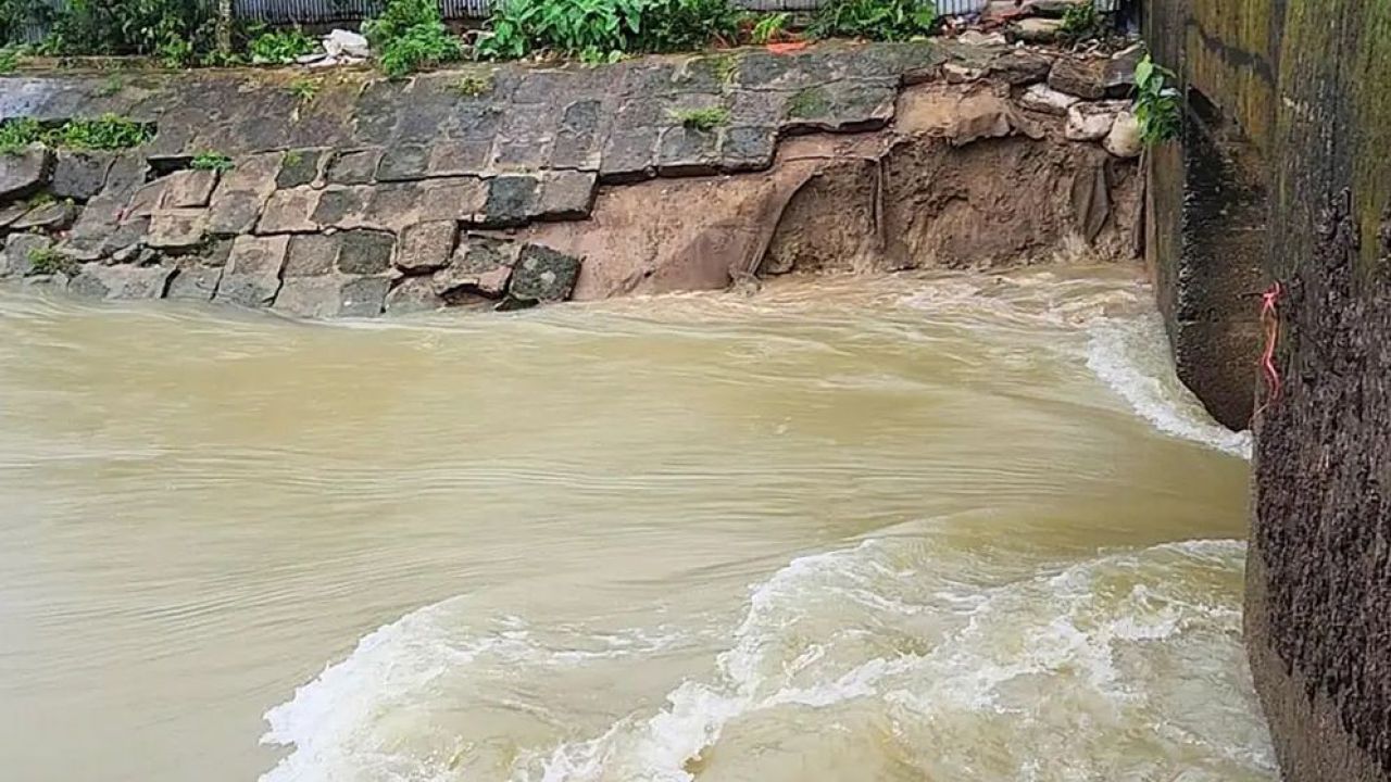 মধ্যনগরে বাঁধ ভেঙে তলিয়ে যাচ্ছে বোয়ালা হাওড়ের ফসল