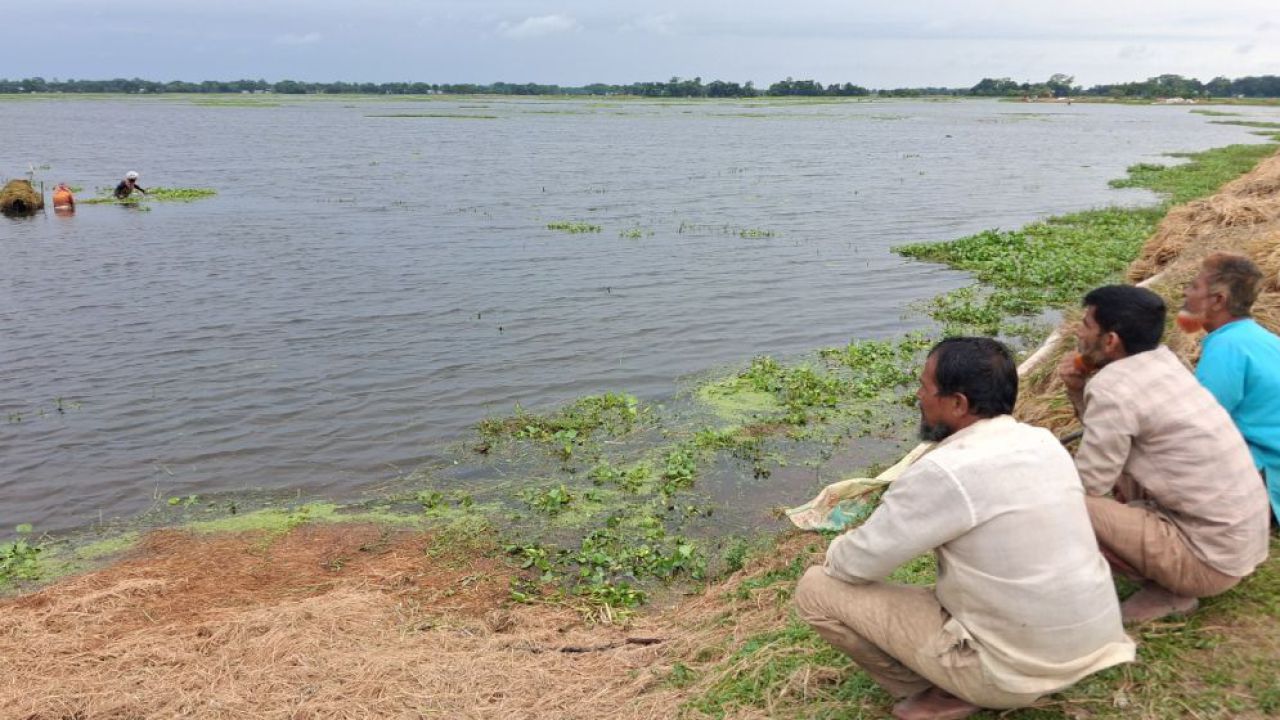 ‘নয়নভাগা’ প্রথায় তলিয়ে যাওয়া ধানে কৃষকের হাহাকার