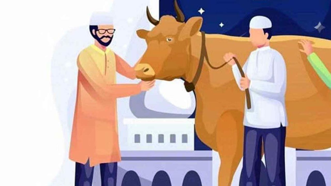 একই পশুতে কুরবানি ও আকিকা আদায়ের বিধান