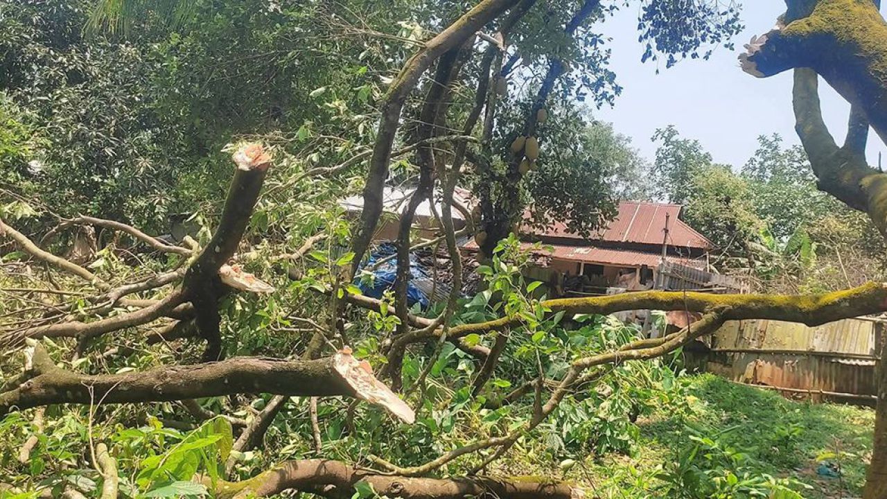 কালবৈশাখীর তাণ্ডবে শ্রীপুরের তিন গ্রামে ব্যাপক ক্ষয়ক্ষতি