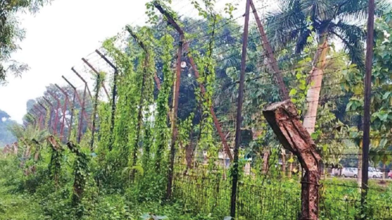 কসবা সীমান্তে বিএসএফের গুলিতে দুই বাংলাদেশি নিহত