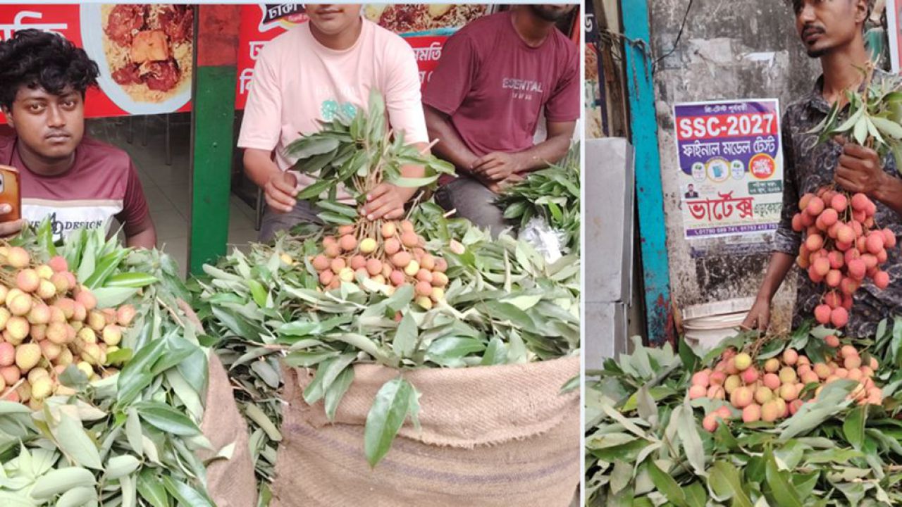 পাবনায় রাসায়নিক দিয়ে পাকানো লিচুতে বাজার সয়লাব: জনস্বাস্থ্যের চরম ঝুঁকি