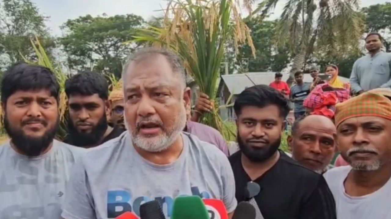 অসহায় বিধবার দুই বিঘা ধান কাটলেন এমপি জিলানী
