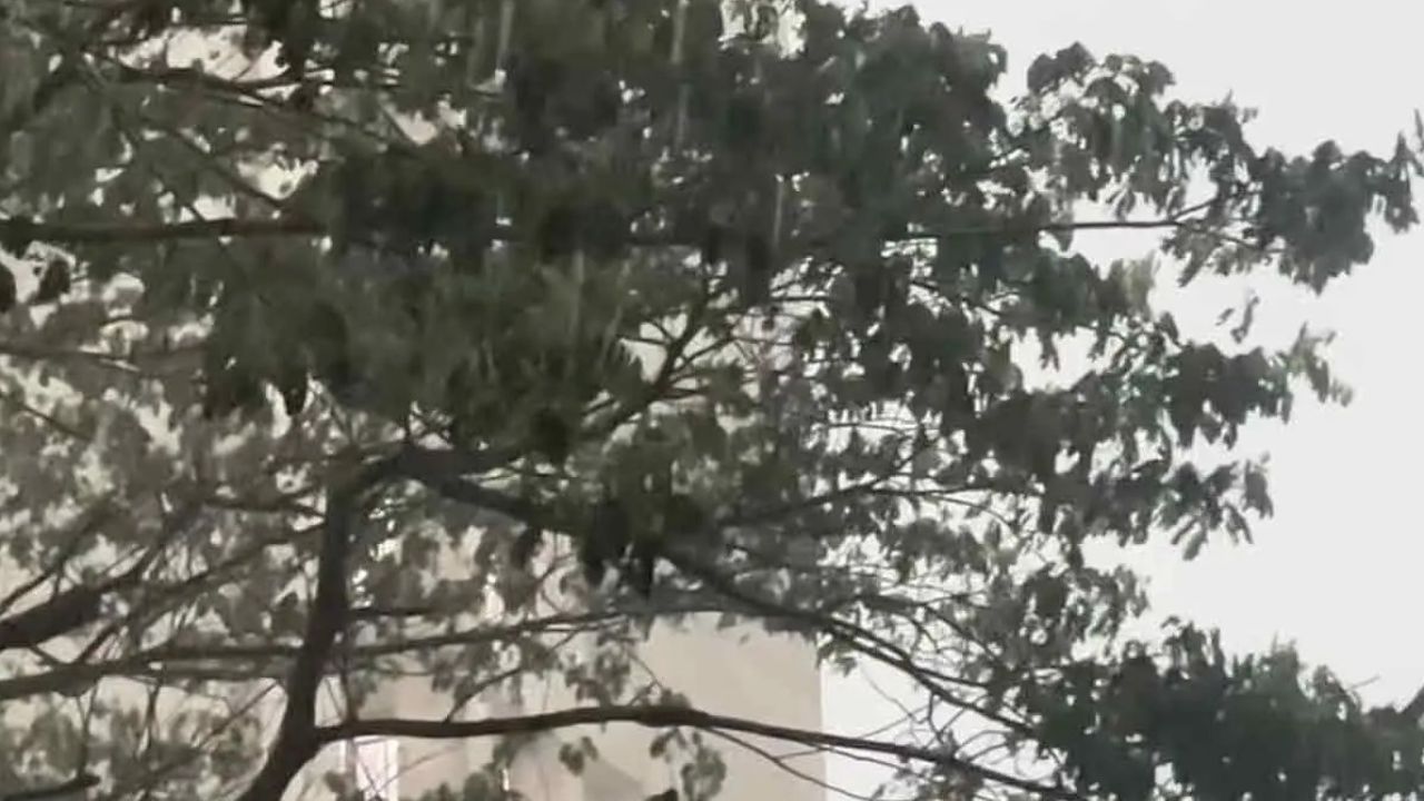 ঢাকায় ২৪ ঘণ্টায় ৪৩ মিলিমিটার বৃষ্টি, কমতে পারে তাপমাত্রা