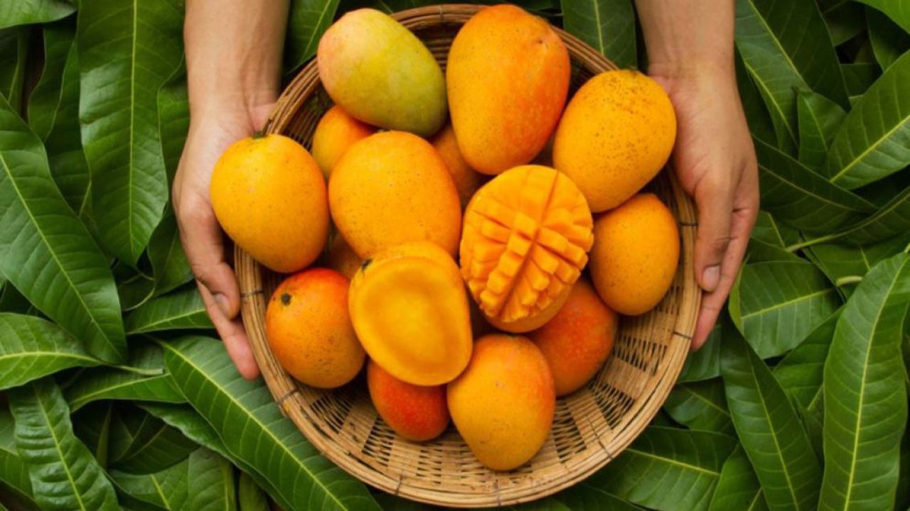 পাকা আম দীর্ঘদিন ভালো রাখার সহজ উপায়