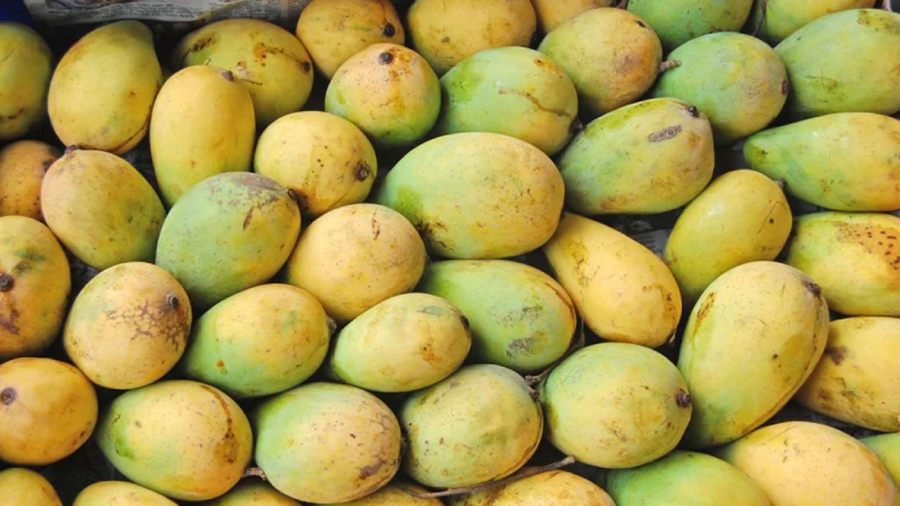 সহজ কিছু উপায়ে রাসায়নিক দিয়ে পাকানো আম চেনার উপায়