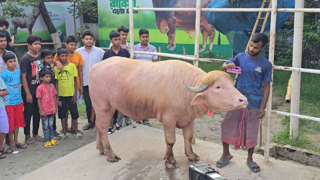 ৬ লাখে বিক্রি হলো ‘নেতানিয়াহু’, সাড়ে তিনে ‘ডোনাল্ড ট্রাম্প’