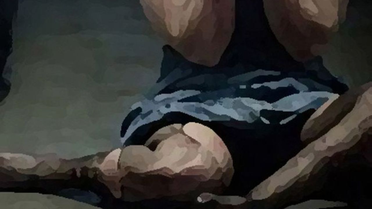 একসঙ্গে মদপান শেষে বান্ধবীকে সংঘবদ্ধ ধর্ষণ