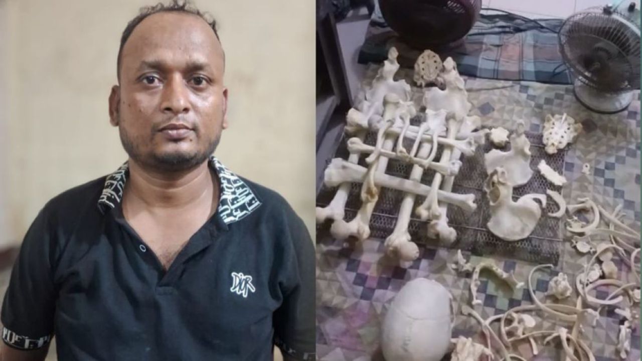 আরমানিটোলায় চার মানুষের কঙ্কাল উদ্ধার, গ্রেফতার শামীম