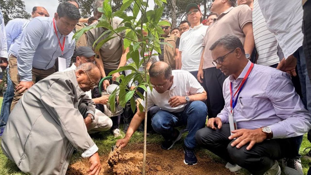 দেশব্যাপী ২৫ কোটি বৃক্ষরোপণ কর্মসূচির উদ্বোধন করলেন প্রধানমন্ত্রী