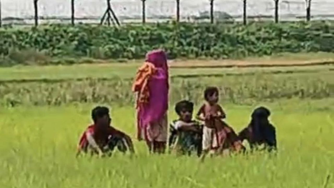 সীমান্তে বিএসএফের পুশইন চেষ্টা, সতর্ক বিজিবি